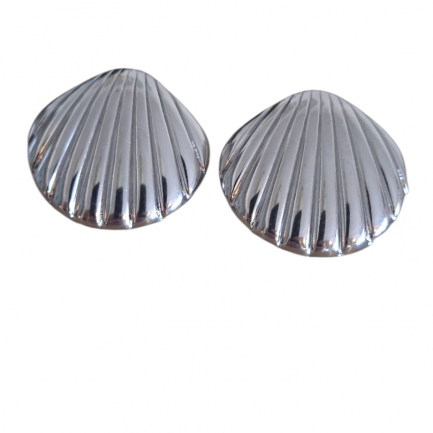 Shell Earrings white