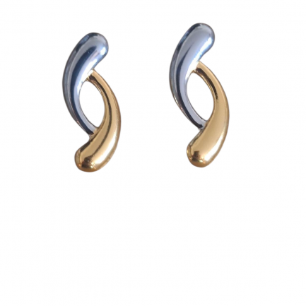 Double curved Earrings